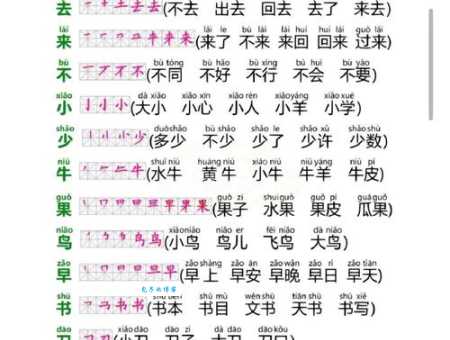 桐的笔顺有啥规则？这几个要点要记牢！