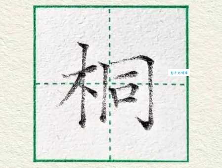 桐的笔顺有啥规则？这几个要点要记牢！