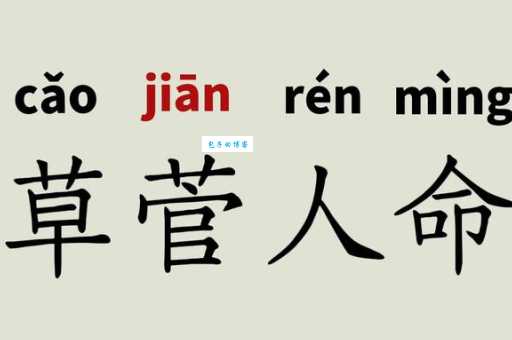 想知道菅怎么拼音吗？专业解读来帮你！