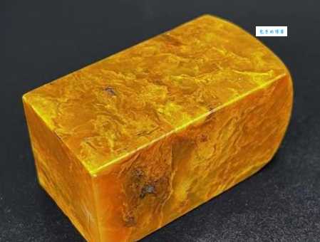 以卵击石的解释有哪些？专家为你详细解读！