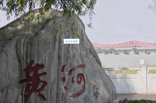 郑州黄河湿地公园怎么玩?(本地人带你走遍全部景点)