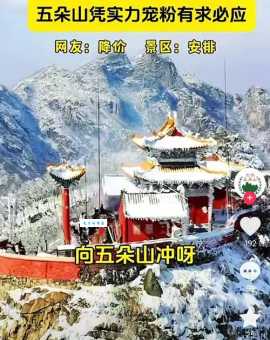 南阳市五朵山攻略几月份去最合适?超详细准备清单分享!