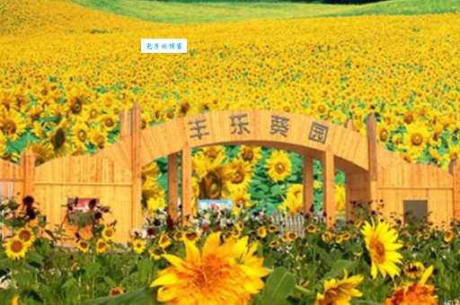 丰乐农庄一日游攻略(什么时候去最好玩最实用路线)