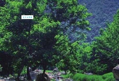 西峡漂流路线怎么玩？资深玩家分享漂流全过程！