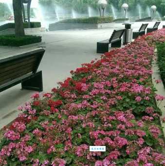 郑州马拉湾门票官方预订渠道有哪些?(三种方式教你快速抢购!)