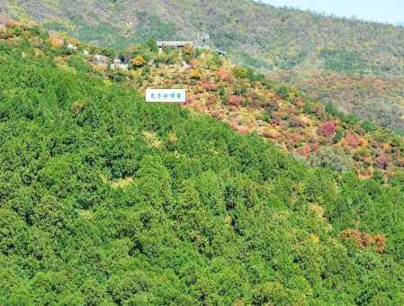 竹林长寿山怎么玩最省心?这份超详细一日游攻略请收好!