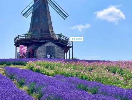 郑州普兰斯薰衣草庄园有什么好玩的？必打卡景点推荐！