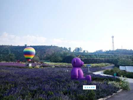 郑州普兰斯薰衣草庄园有什么好玩的？必打卡景点推荐！