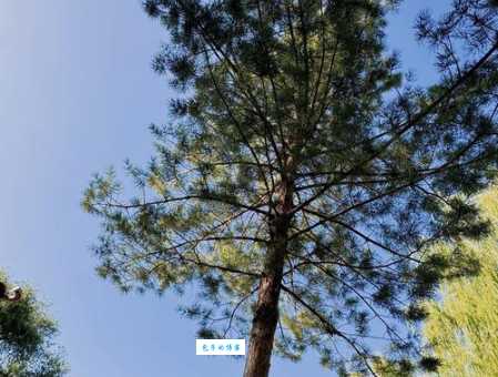 五家渠旅游怎么玩才不踩雷？本地人分享实用经验！