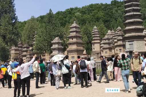 想去少林寺旅游怎么联系?少林寺景区电话打哪个?