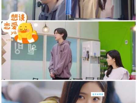 幸福密码剧情介绍男女主角是谁？主演阵容和角色关系！