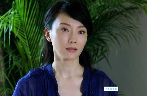 夫妻那些事演员表现在怎么样了?揭秘明星近况!