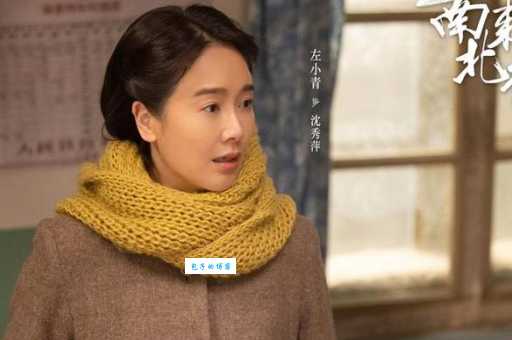 南来北往沈大夫单身原因曝光隐藏什么？深度解读人物命运！