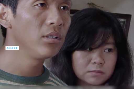 樱桃电视剧演员表宋小宝演谁？他老婆也在里面！