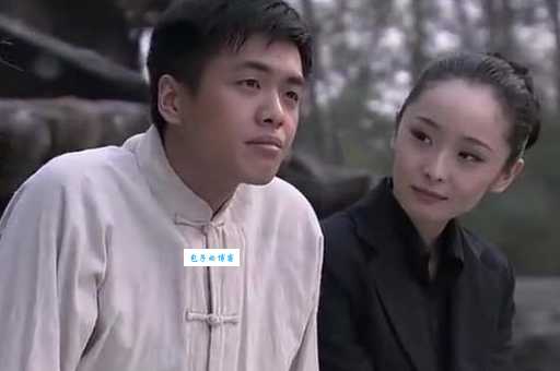 电视剧黑狐剧情介绍，为什么这部剧值得一看？