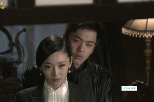 电视剧黑狐剧情介绍，为什么这部剧值得一看？