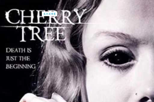 樱桃剧情最后大结局是什么?解析人物命运走向!