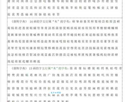 荃字怎么读音调是什么？一篇文章帮你彻底搞懂发音！