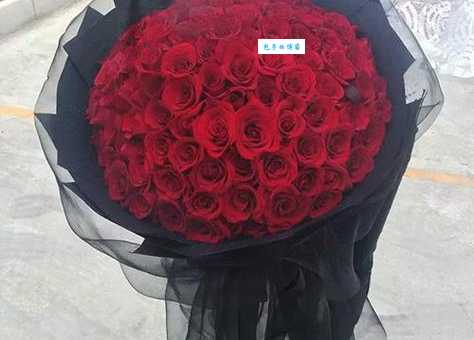 红玫瑰黑玫瑰剧情介绍：看完这篇再去看电影更过瘾！