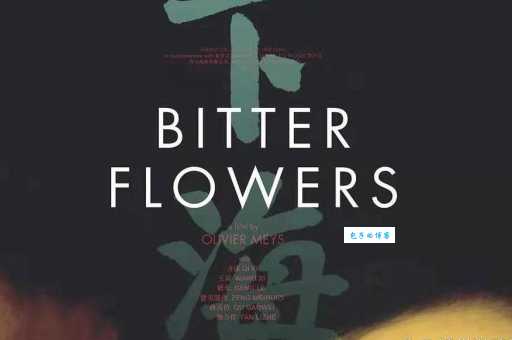 下海剧情全集在哪看高清(正版资源获取渠道分享)