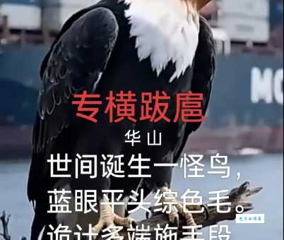 揭秘专横跋扈最正确的一肖，原来指的是这种个性！