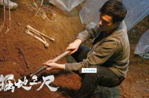 疑惑掘地三尺是什么动物？一文带你了解真相！