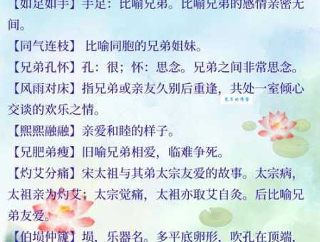 兄弟打一成语是什么？答案原来这么简单！