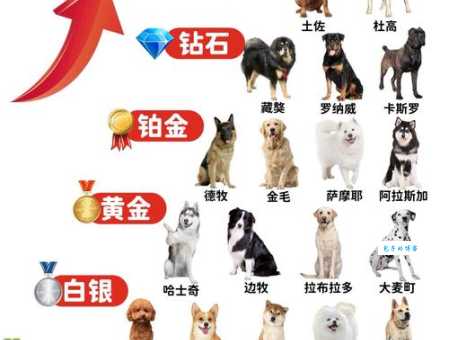 “各霸一方”到底打哪个动物？权威解析告诉你！