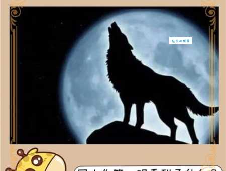 飞针走线打一动物的正确答案，别再猜错了！