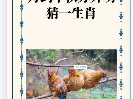 取长补短打一正确动物的答案揭晓，看完你就知道！