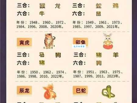 做好做歹猜打一个最佳正确生肖准确，答案揭秘！