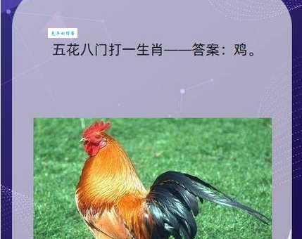 做好做歹猜打一个最佳正确生肖准确，答案揭秘！