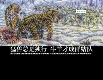 止戈为武什么动物象征和平？深入探讨这个有趣问题！