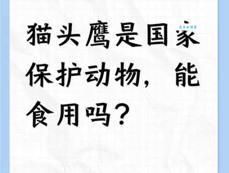 止戈为武什么动物象征和平？深入探讨这个有趣问题！