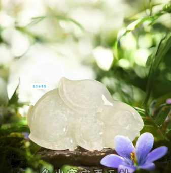 玉兔出宫打一准确生肖的答案是什么?别再猜错啦!