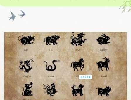 火烧眉毛打一准确动物，你知道正确答案是什么吗？