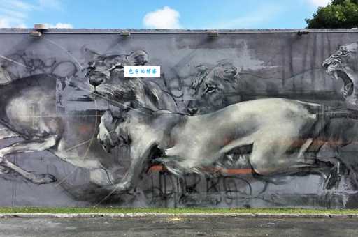 弱肉强食最佳答案一肖准不准？看完你就明白了！