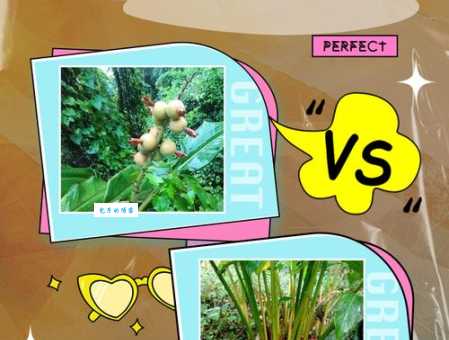 落草为寇什么意思?日常生活中怎么用?