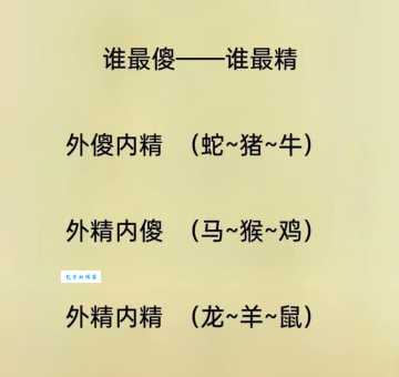 心荡神移打一最佳准确生肖：这篇帮你找到！