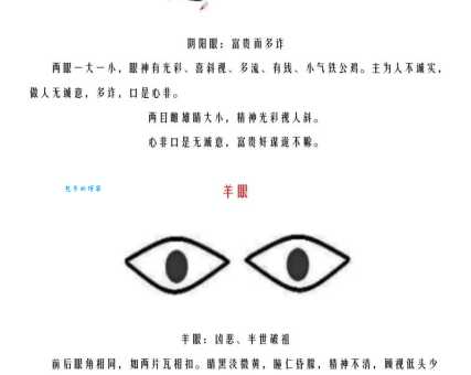 双目如潭最准确打一肖解析，让你秒懂其中奥秘！