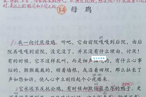 铁打的公鸡下一句是什么?这句歇后语可别用错!