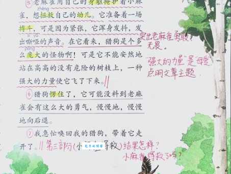 不知道夯雀先飞什么意思？读完这篇就懂了！