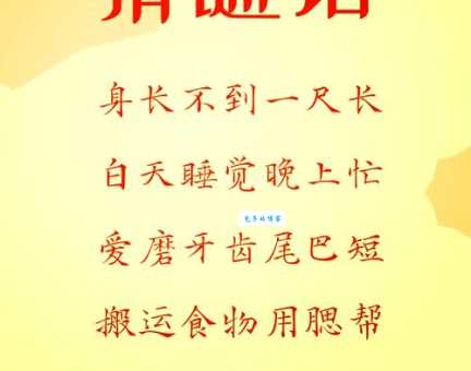 趣味猜谜：爬竹竿打一成语，答案在这里揭晓！