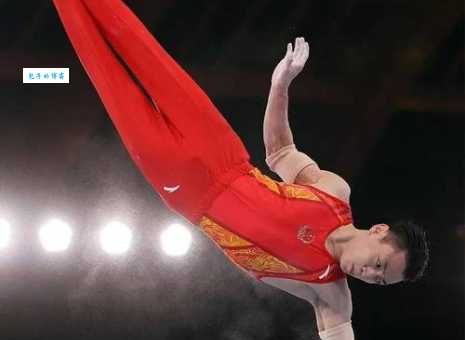 邹敬园个人资料简介：盘点他的辉煌成就！