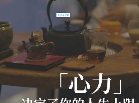 汪涵经典语录哪句最触动你?一起来感受力量!