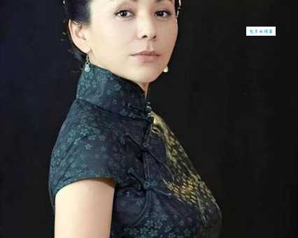 想知道王琳个人资料？这里有最全面的信息汇总！