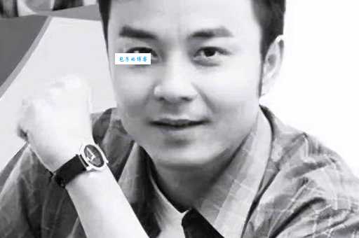 汪涵个人资料深度解析 (从成长经历到家庭生活)