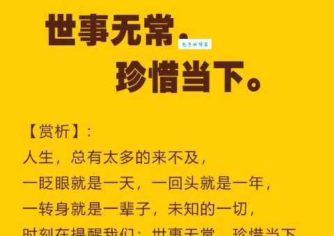 浮生未歇这个词是什么意思(带你体会人生无常)