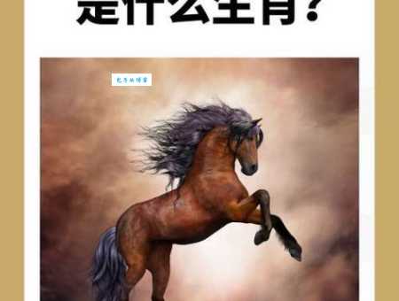 野马无缰打一准确动物是什么？看完你就懂了。