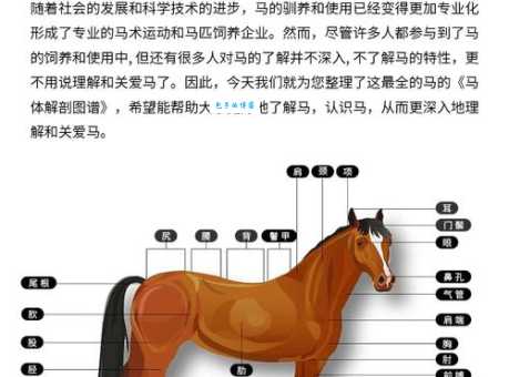 野马无缰打一准确动物是什么？看完你就懂了。